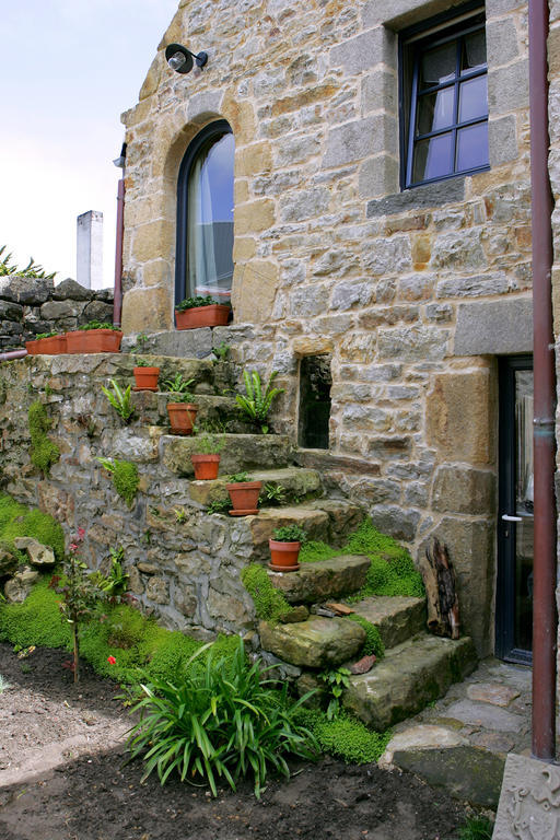 Le Magasin A Sel Bed and Breakfast Crozon Buitenkant foto